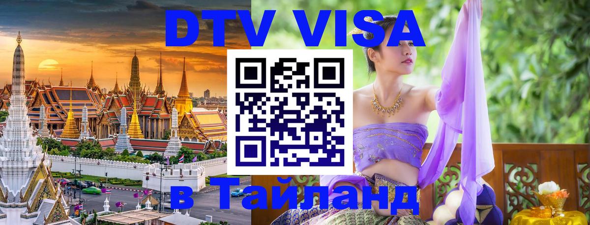 Оформление DTV визы под ключ: стоимость и тарифы, только загранпаспорт - Реутов 